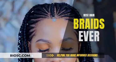 Everlasting Ever-Chic Hair Braids