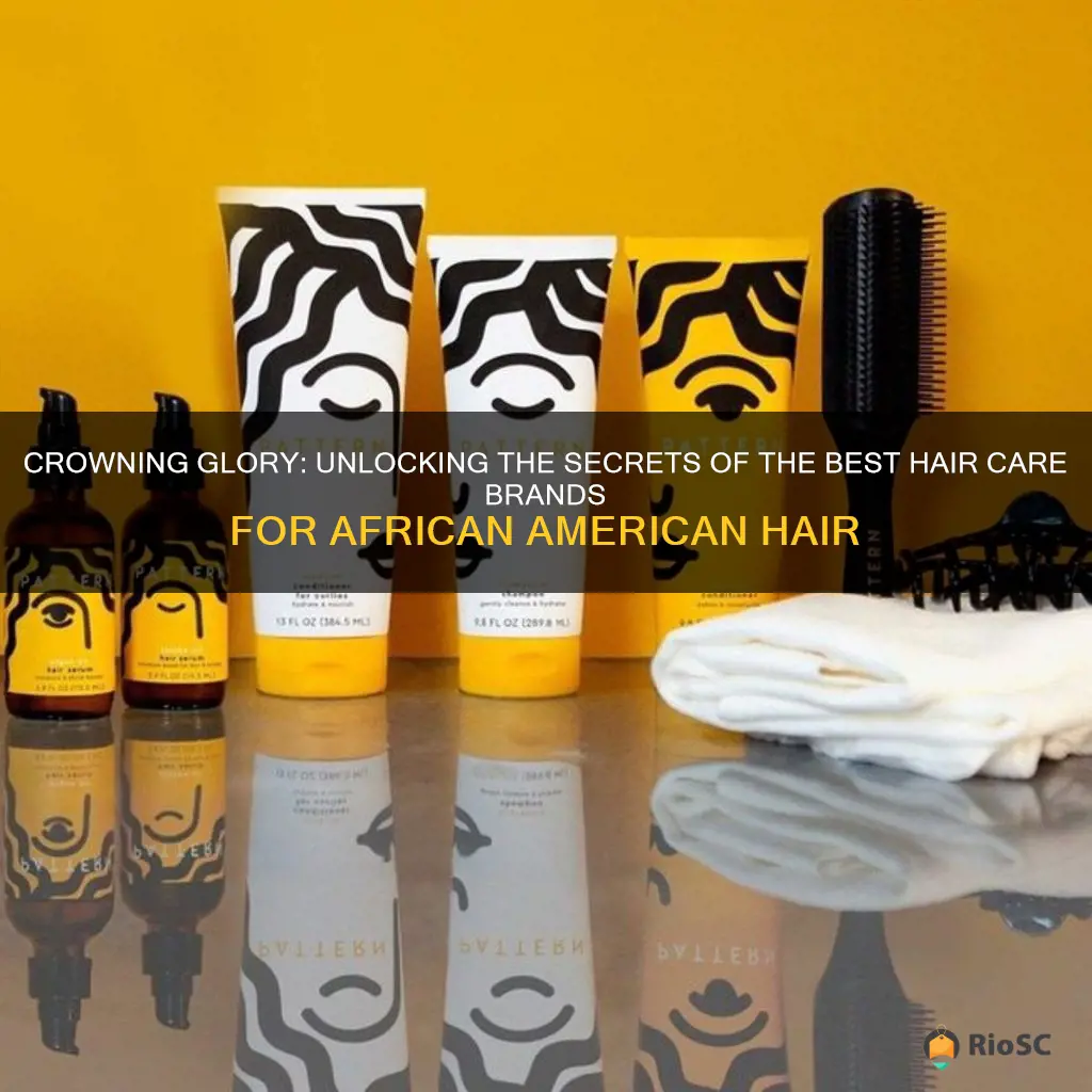 best hair care brands for african american hair