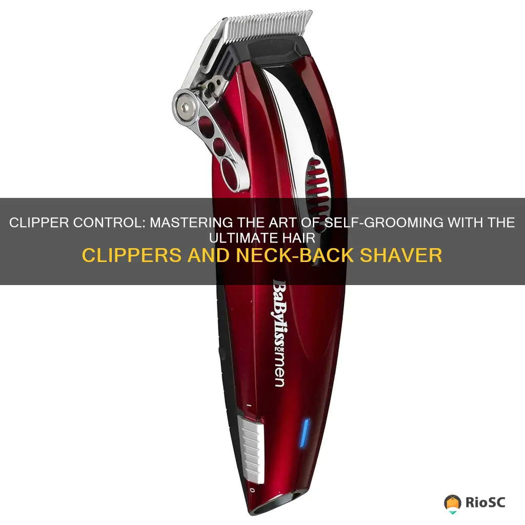 best hair clippers and neck back shaver