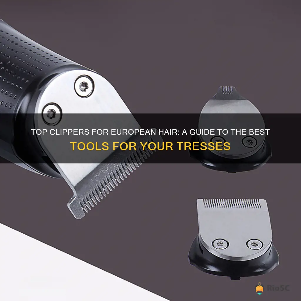 best hair clippers europe