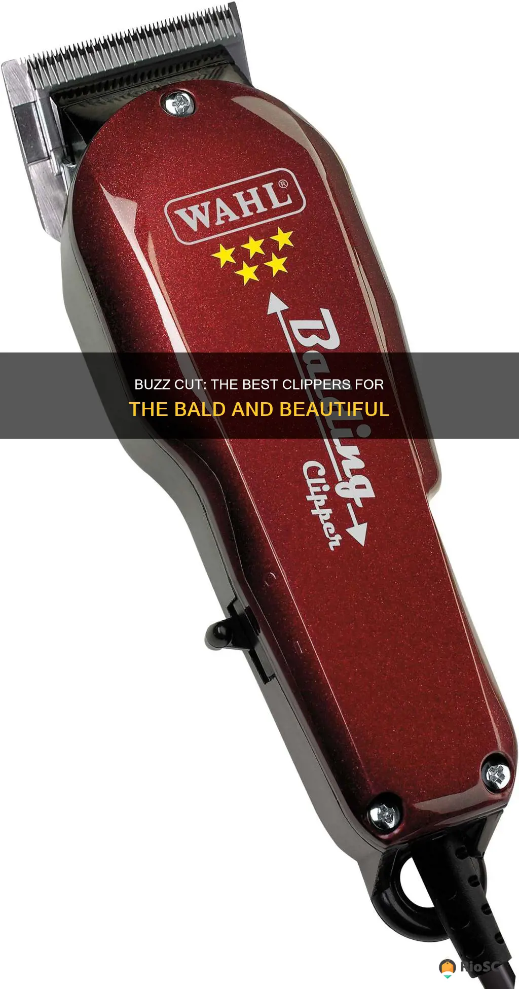 best hair clippers for bald guys