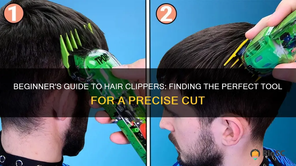 best hair clippers for beginners