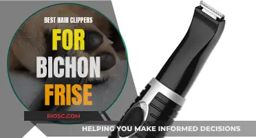 Top Clippers for a Bichon Frise's Coat: A Guide to Grooming