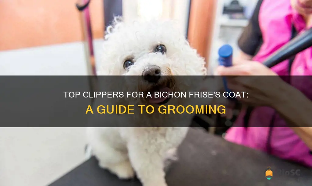 best hair clippers for bichon frise