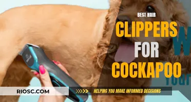 Top Clippers for Cockapoo Grooming