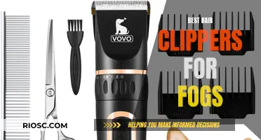 Top Clippers for Canine Comfort: Finding the Best Tools for a Dog's Grooming Routine