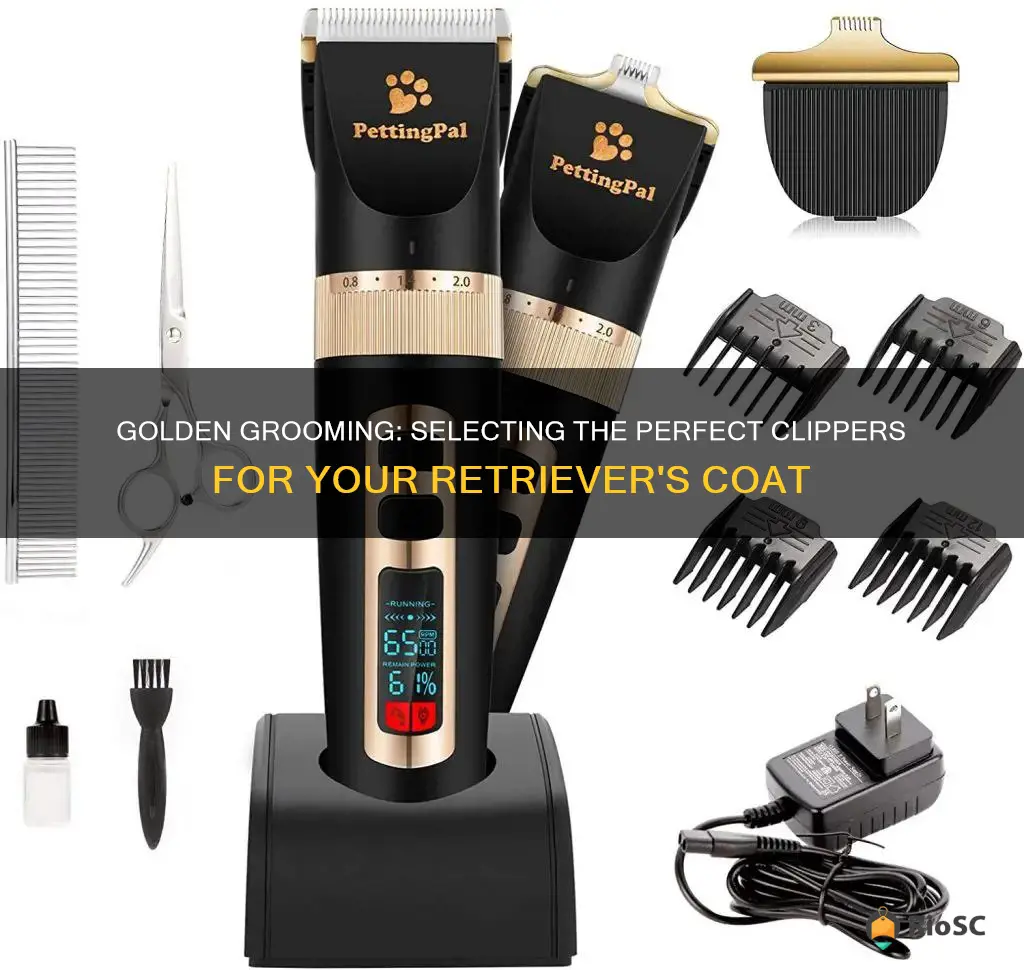 best hair clippers for golden retriever