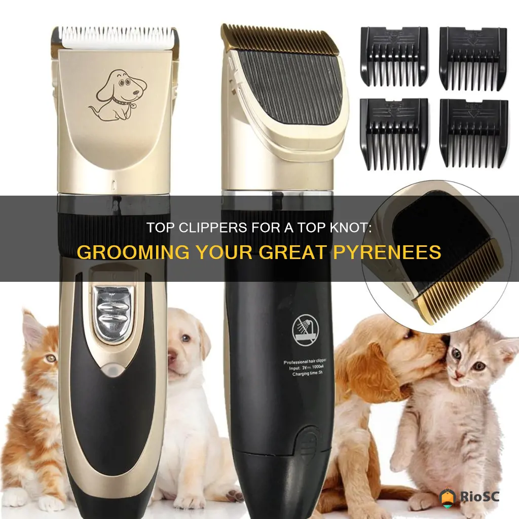 best hair clippers for great pyrenees