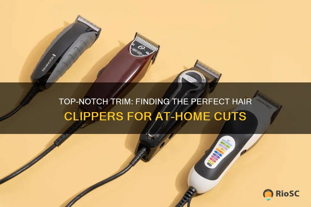 best hair clippers for home use