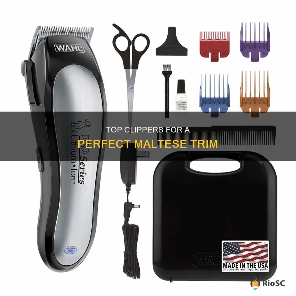 best hair clippers for maltese