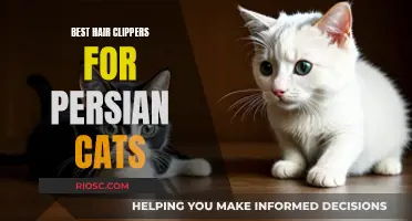 The Pursuit of the Perfect Clipper: Grooming Persian Cats with Precision