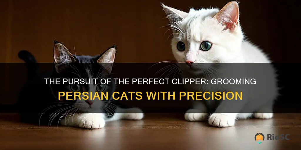 best hair clippers for persian cats