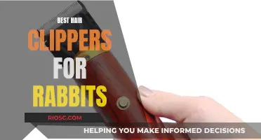 Top Clippers for Rabbit Grooming