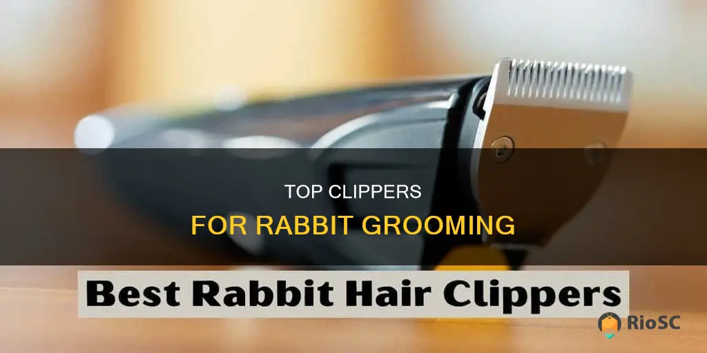 best hair clippers for rabbits