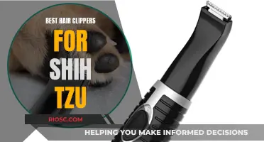 Top Clippers for Your Shih Tzu's Coat