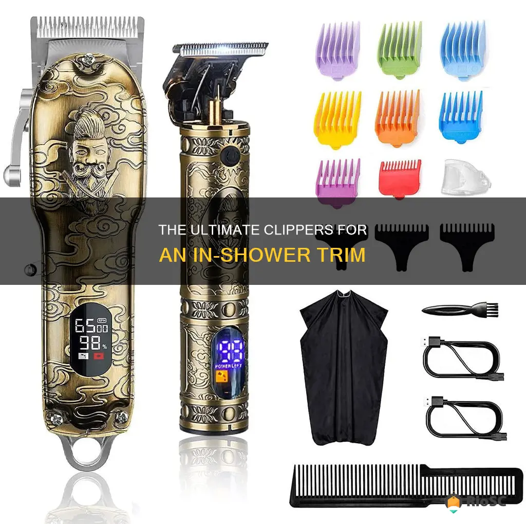 best hair clippers for shower