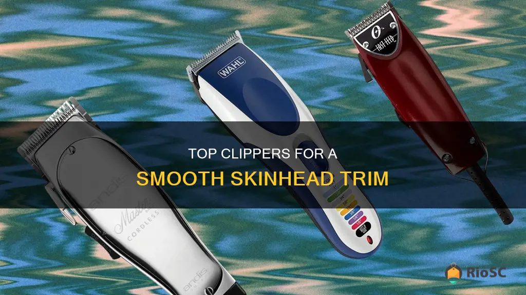 best hair clippers for skinhead