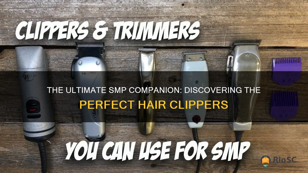 best hair clippers for smp