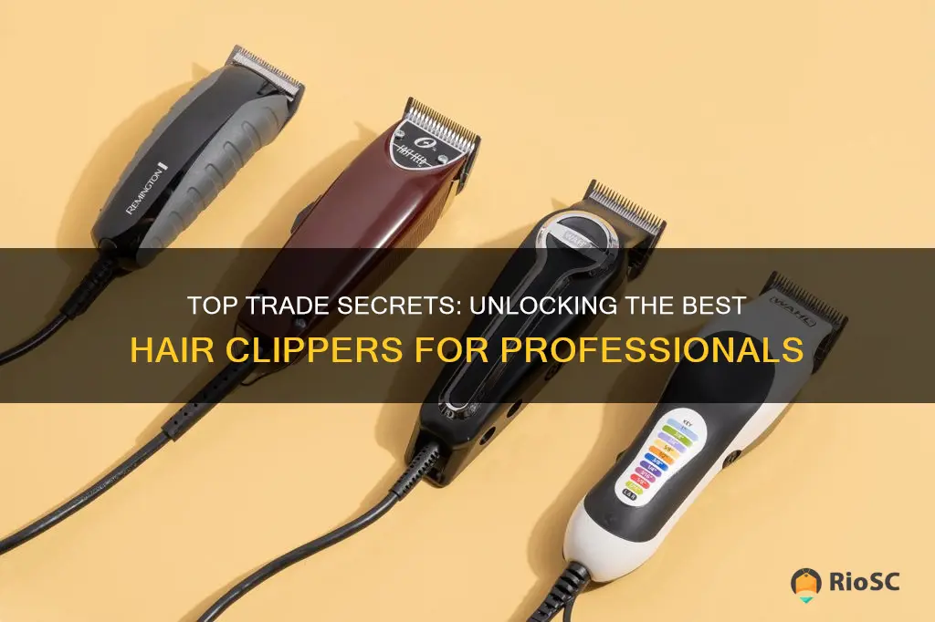 best hair clippers for trade