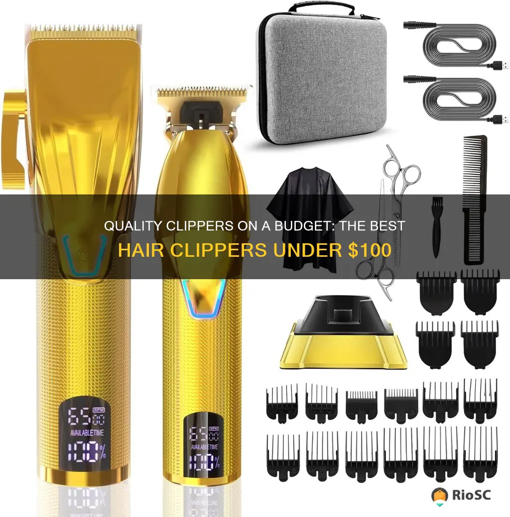 best hair clippers for under 100