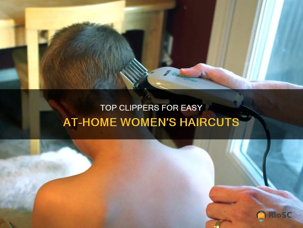 best hair clippers for women