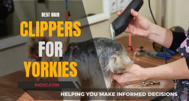 Top Clippers for Yorkies' Coats: A Guide to Grooming