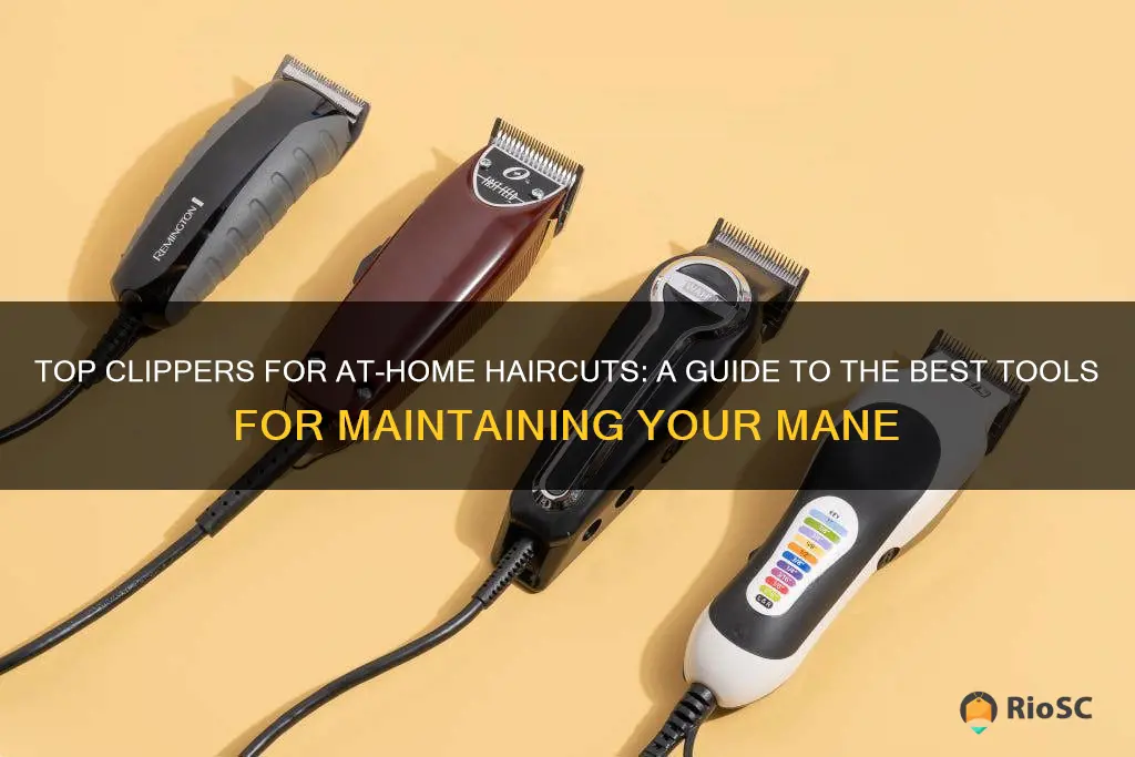 best hair clippers home use