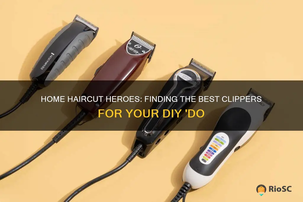 best hair clippers home