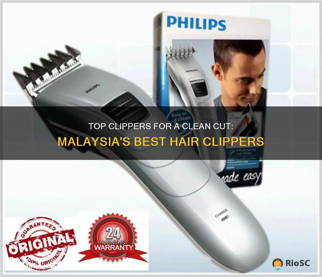 best hair clippers malaysia