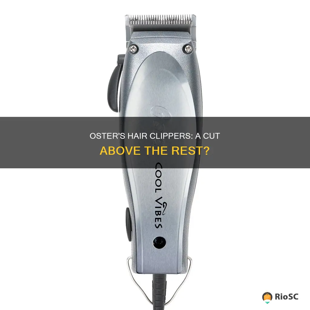 best hair clippers oster