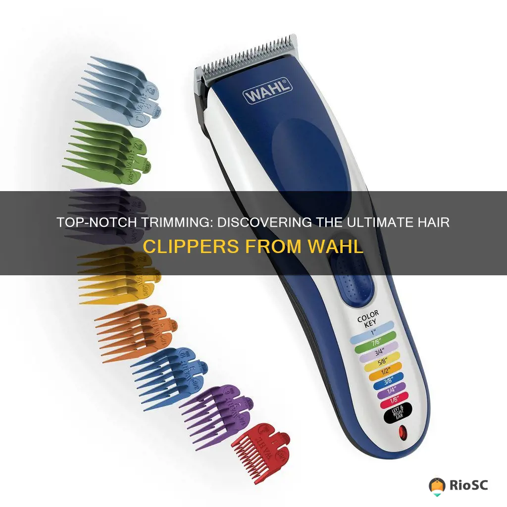 best hair clippers wahl