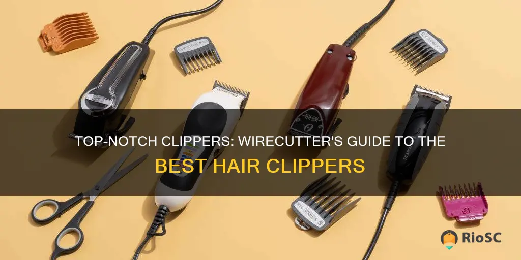 best hair clippers wirecutter