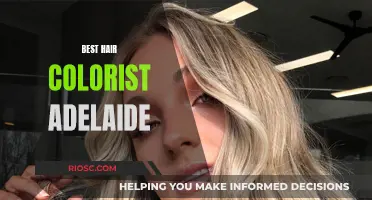 Top Hair Colorists in Adelaide: Master Artists for Your Dream Look