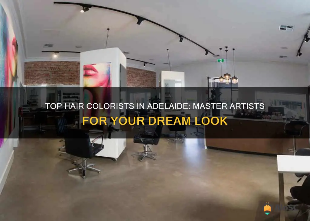 best hair colorist adelaide