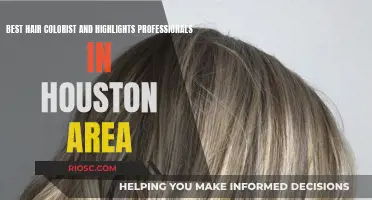 Houston's Top Hair Color and Highlight Artists: Your Guide to the City's Best