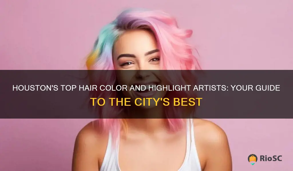 best hair colorist and highlights professionals in houston area