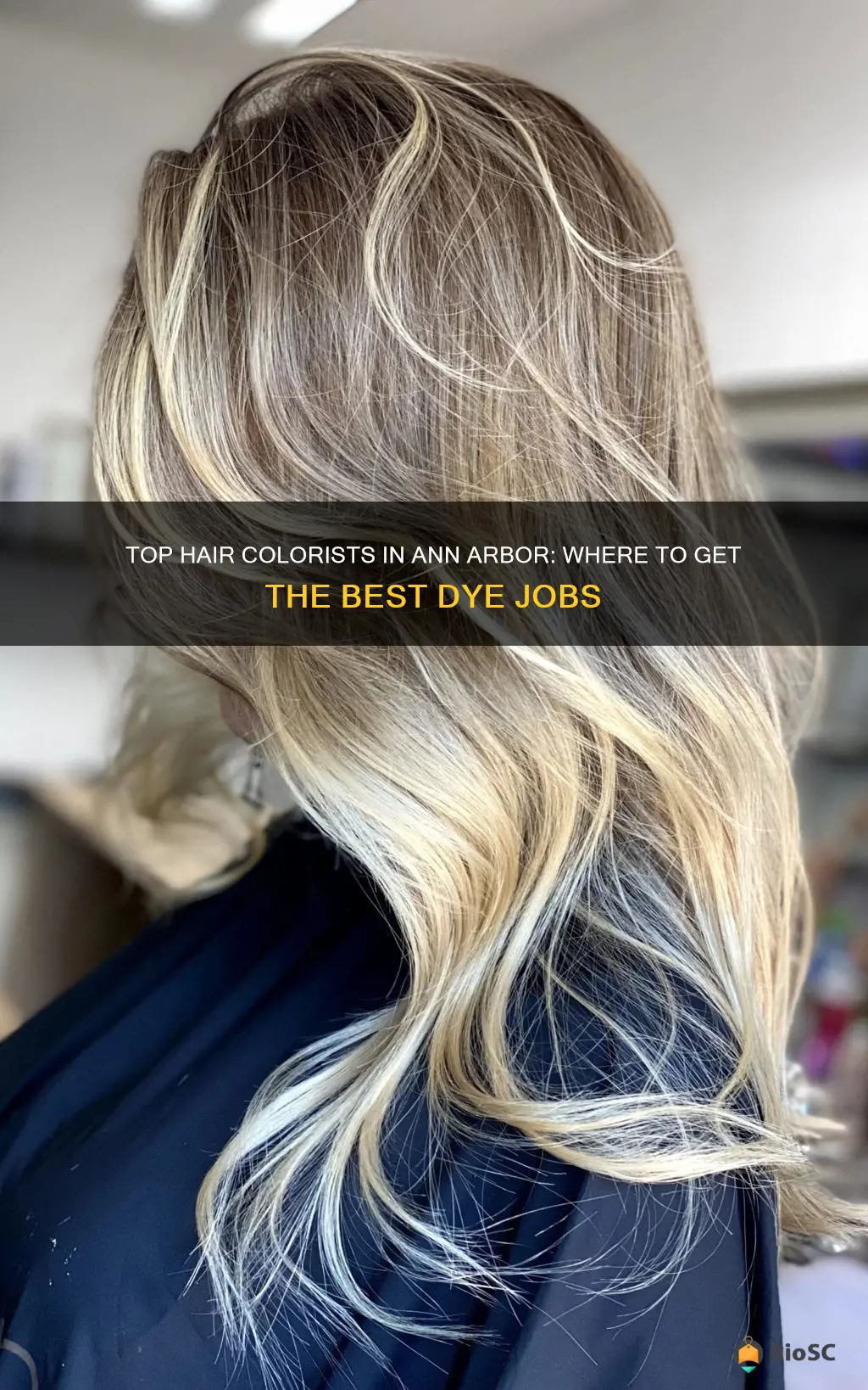 best hair colorist ann arbor