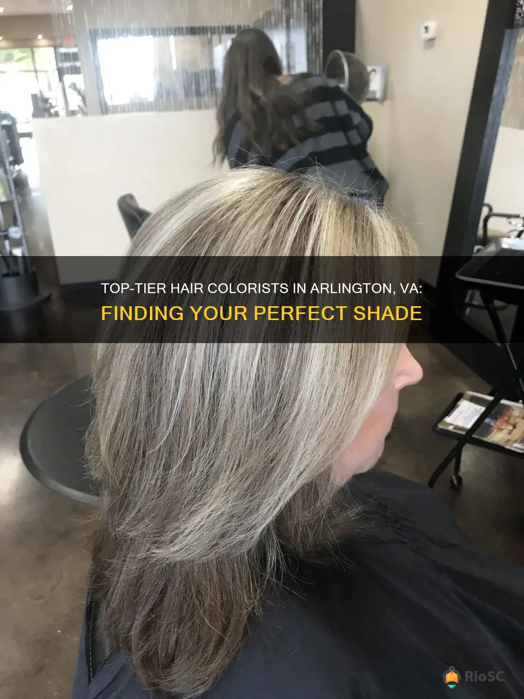 best hair colorist arlington va