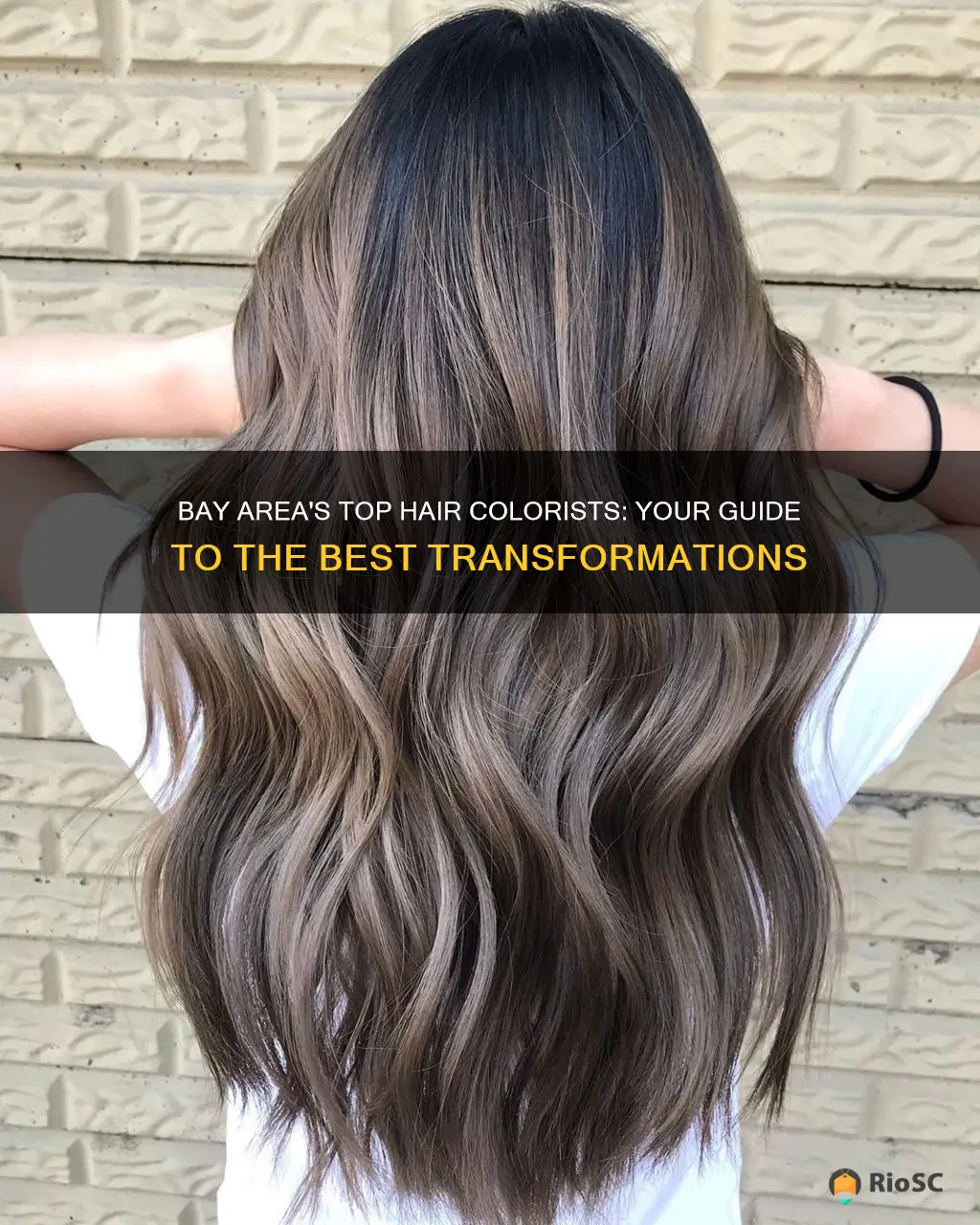 best hair colorist bay area