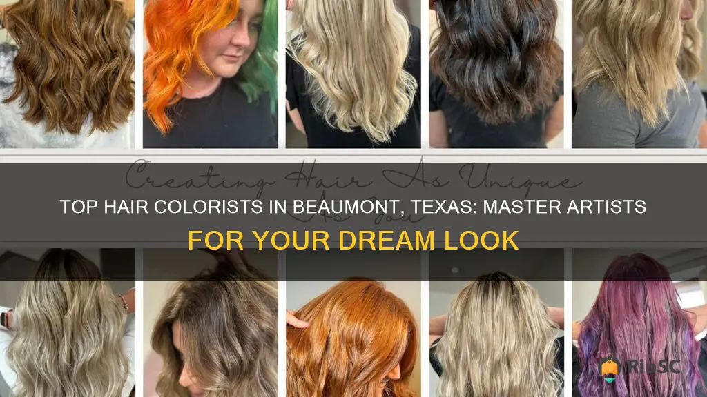 best hair colorist beaumont tx