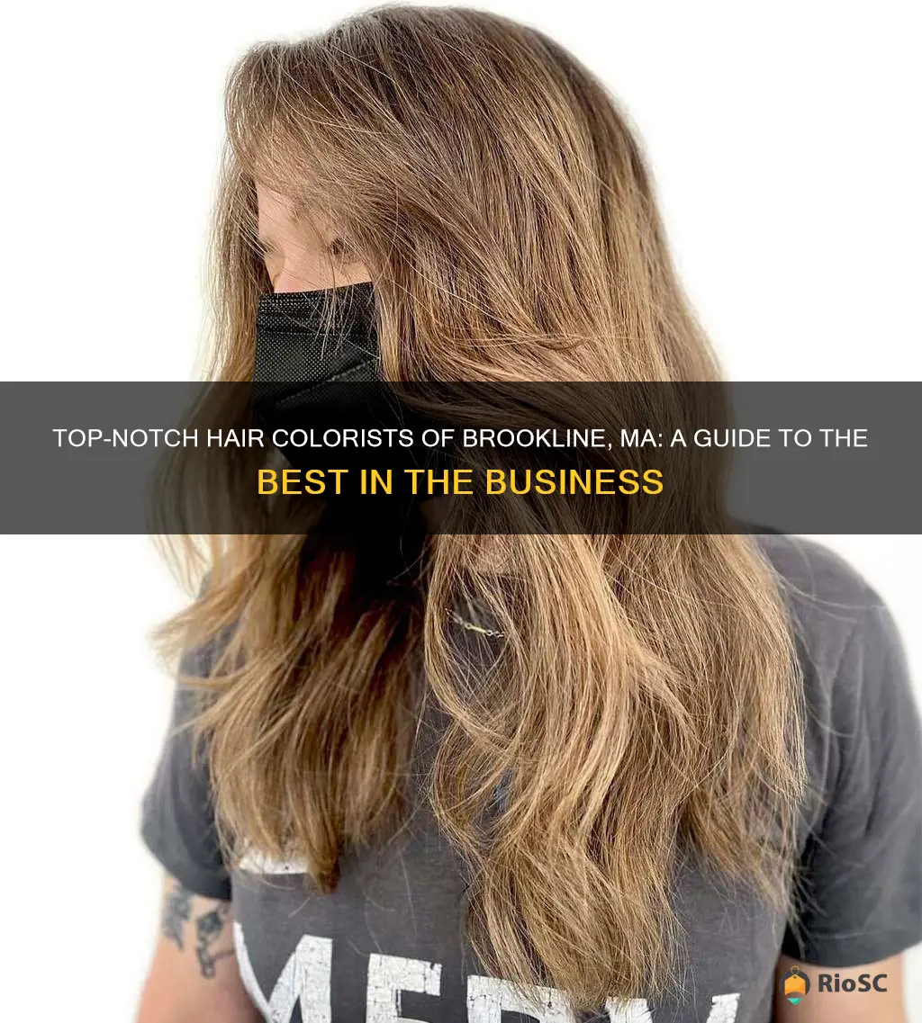 best hair colorist brookline ma