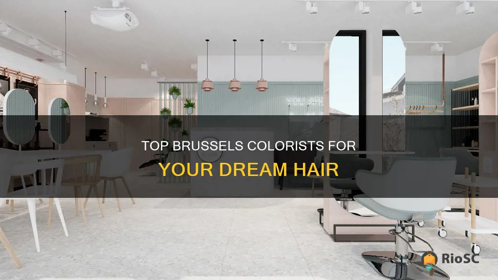 best hair colorist brussels