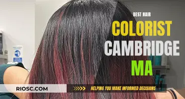 Top Hair Colorists in Cambridge, MA: Creative Color Experts