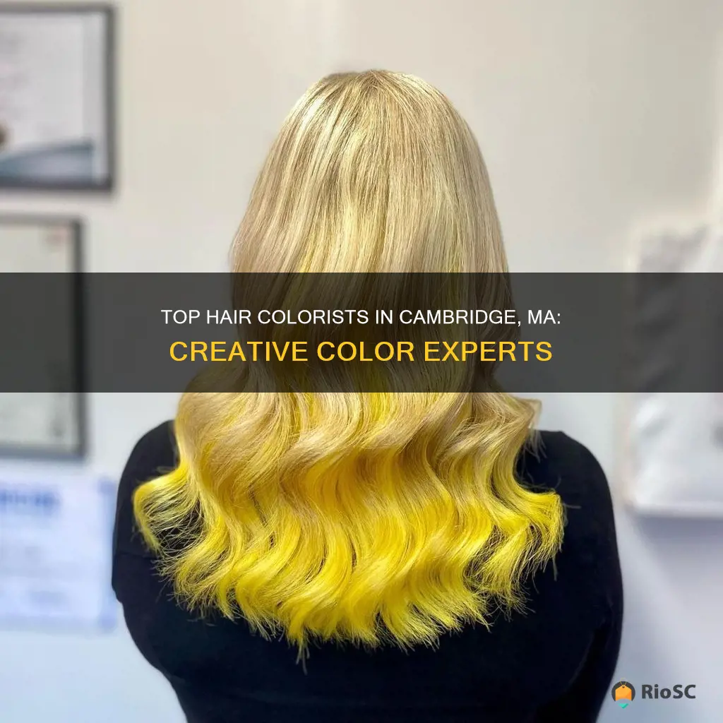 best hair colorist cambridge ma