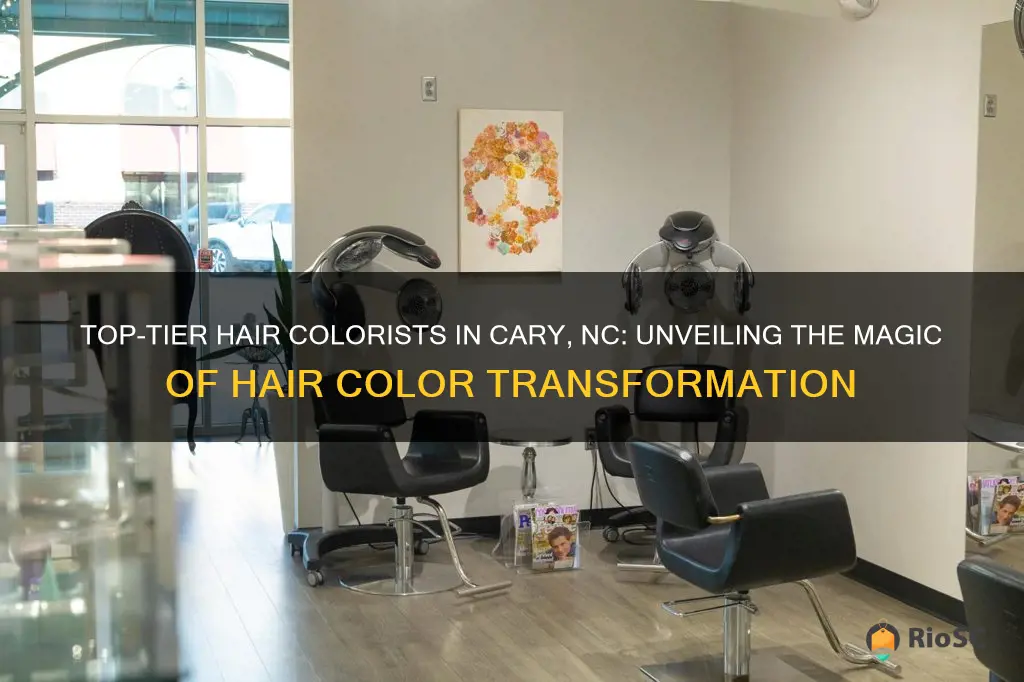 best hair colorist cary nc