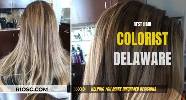 Delaware's Top Hair Colorists: Master Artists for Your Dream Look