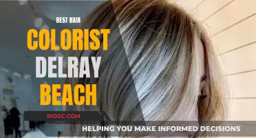 Top Delray Beach Hair Colorists for Your Dream Shade