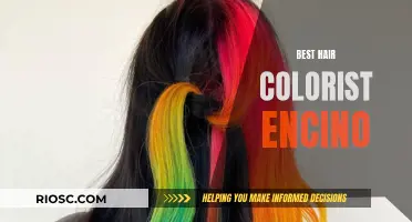 Top Encino Hair Colorists for Your Dream Look