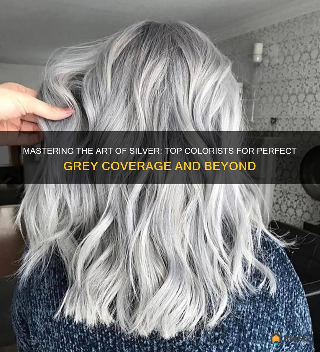 best hair colorist for silver combo