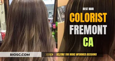 Top Fremont, CA Hair Colorists: Master Artists for Your Dream Look